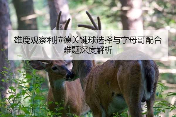雄鹿观察利拉德关键球选择与字母哥配合难题深度解析